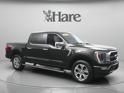 2021 Ford F-150 Platinum