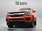 2019 Chevrolet Colorado Work Truck