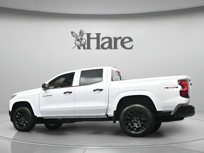 2026 Chevrolet Colorado Work Truck