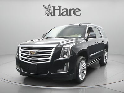 2019 Cadillac Escalade Platinum Edition
