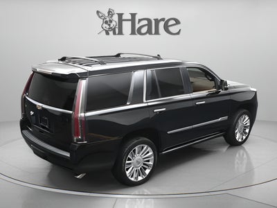 2019 Cadillac Escalade Platinum Edition