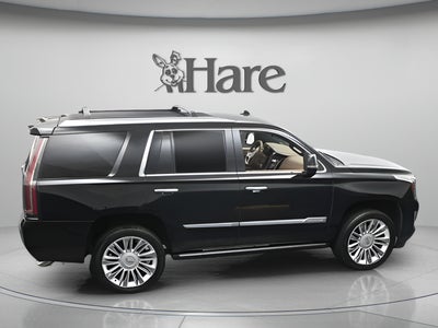 2019 Cadillac Escalade Platinum Edition