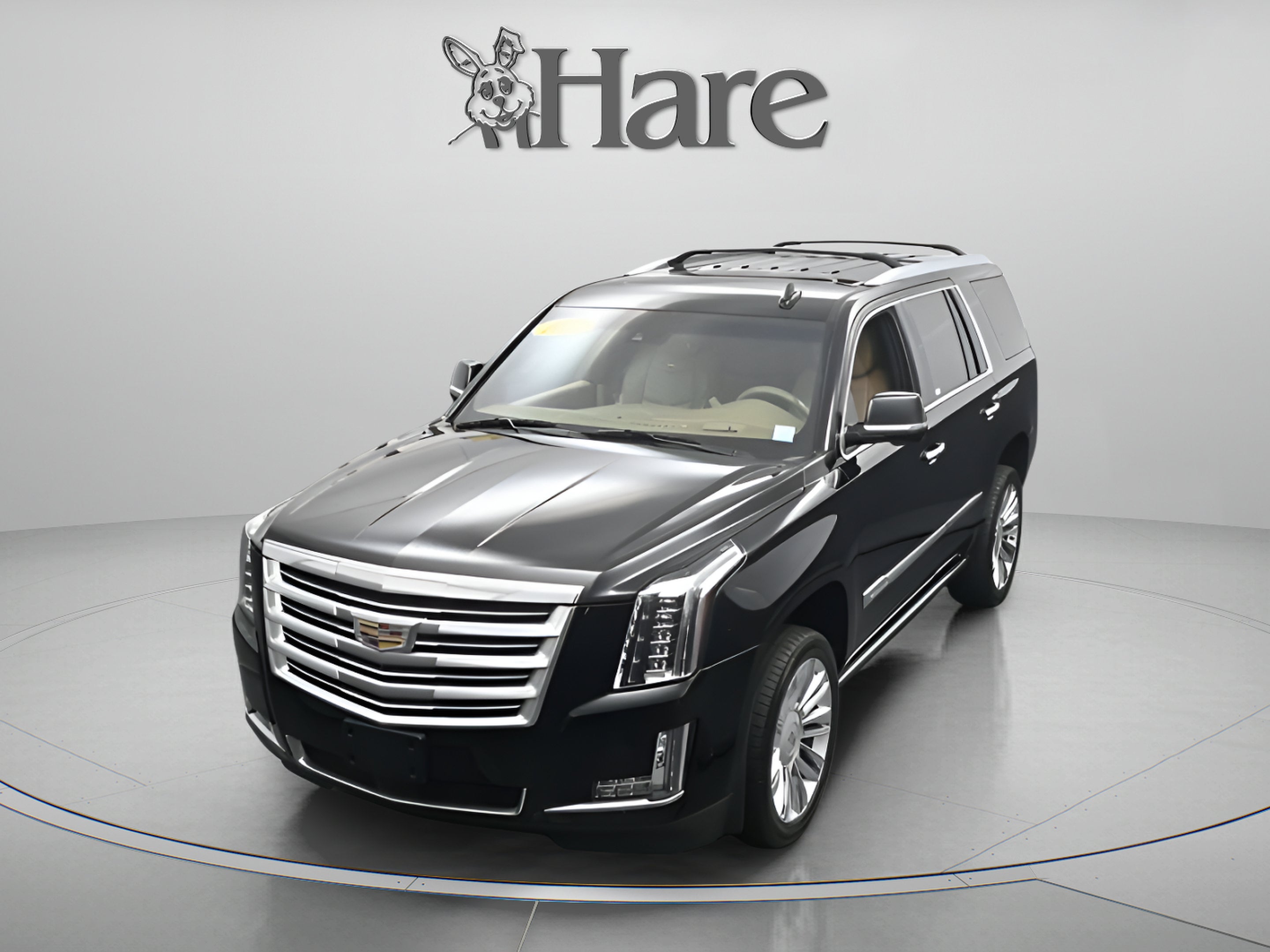 2019 Cadillac Escalade Platinum Edition