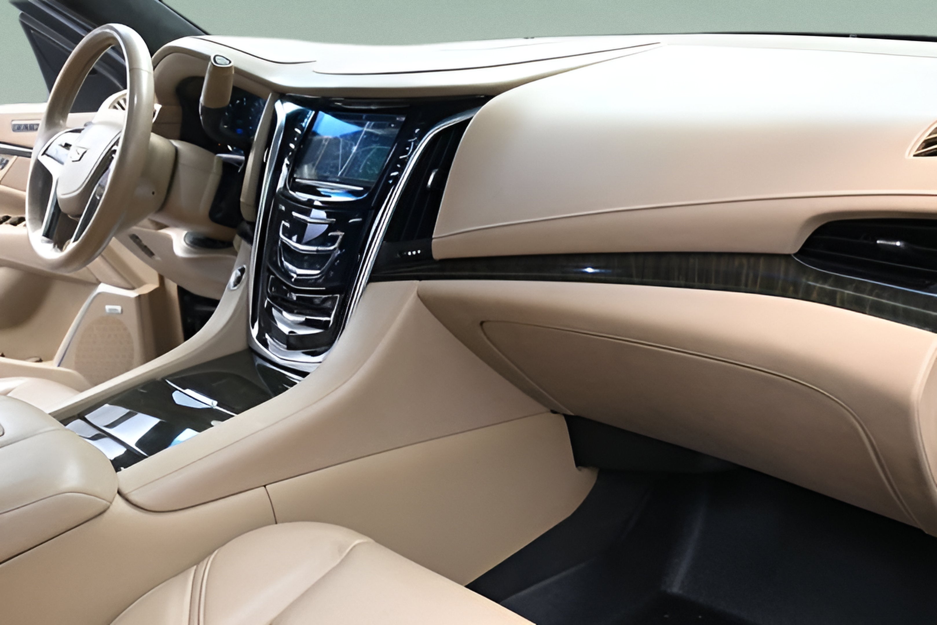 2019 Cadillac Escalade Platinum Edition