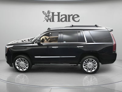 2019 Cadillac Escalade Platinum Edition