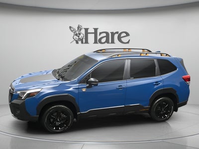 2023 Subaru Forester Wilderness