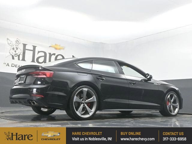 2019 Audi S5 Sportback Premium Plus quattro