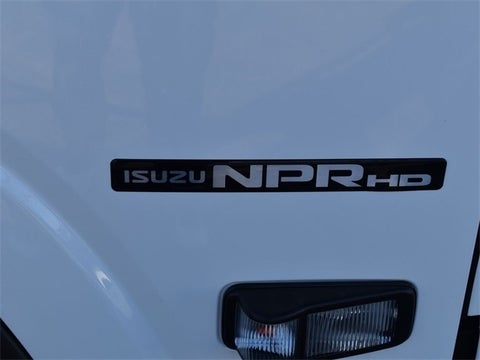 2024 Isuzu NPRGASHD N GAS 176WB in Indianapolis, IN - Hare Truck Center