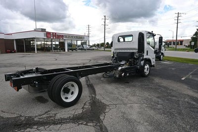 2026 Isuzu NPRXD 16000 GVW 176WB